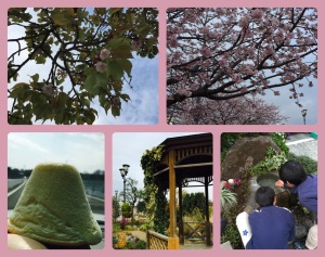 リベンジ♨︎温泉
