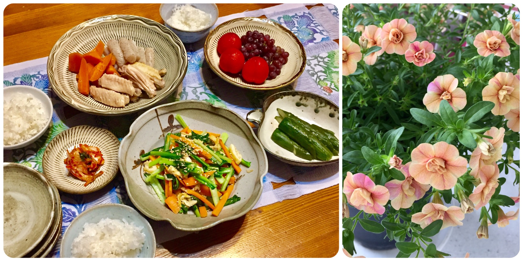 夕飯・いつかの鉢植え