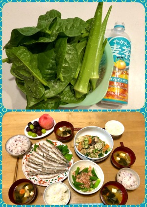 奇跡のオクラ？